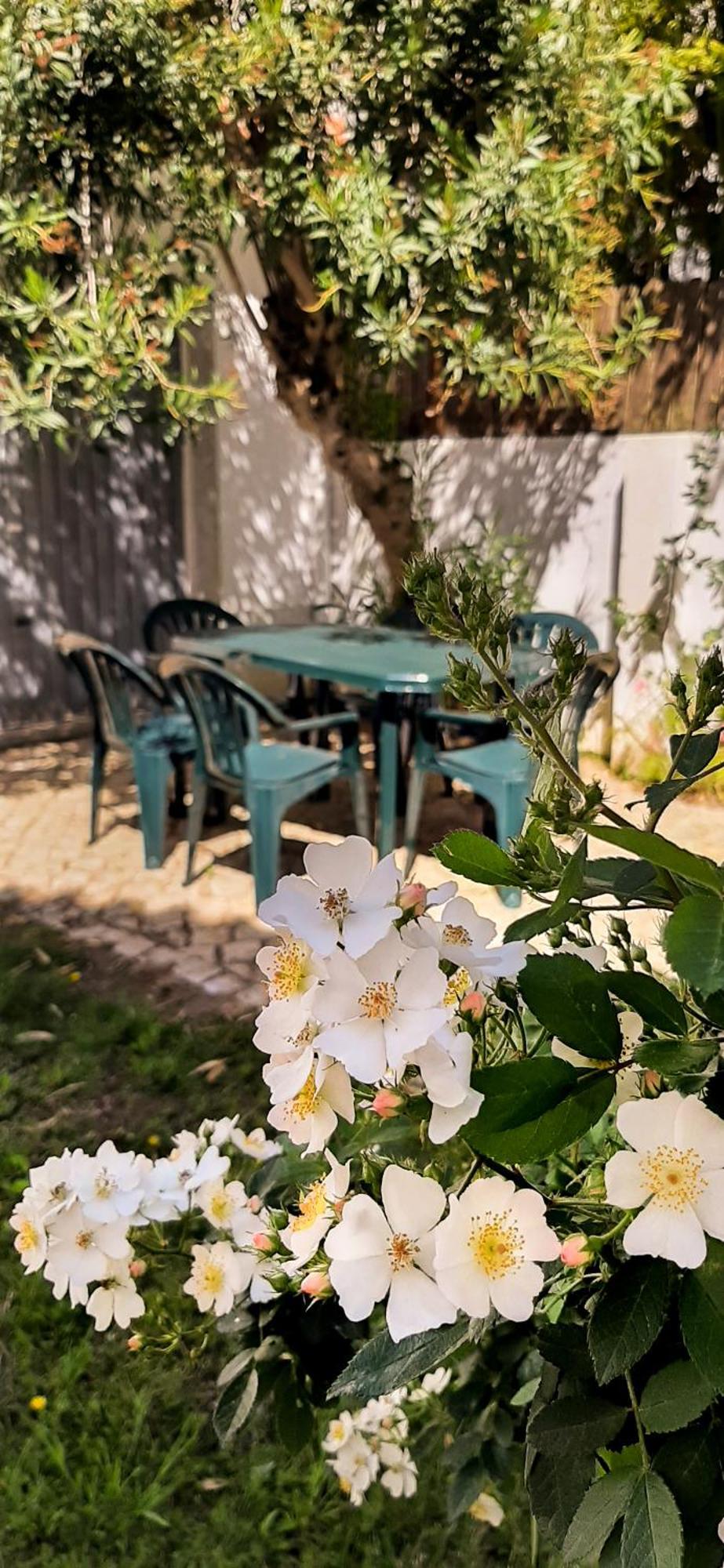 Villas Boas House Caparica 2 Costa de Caparica Εξωτερικό φωτογραφία